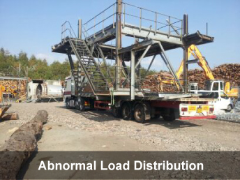 Abnormal Loa Carriers